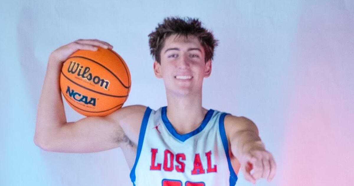 Los Alamitos is rising in Southern California high school basketball with a young team gaining experience.