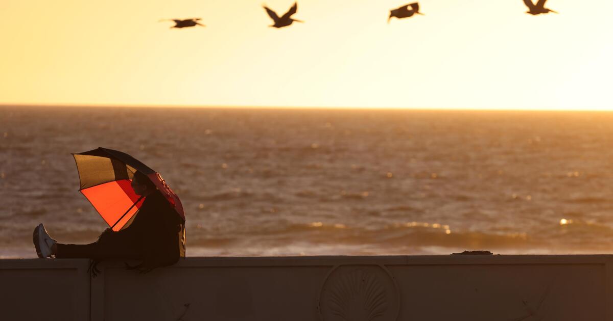 Temps near record-highs this week across L.A., as Santa Anas continue