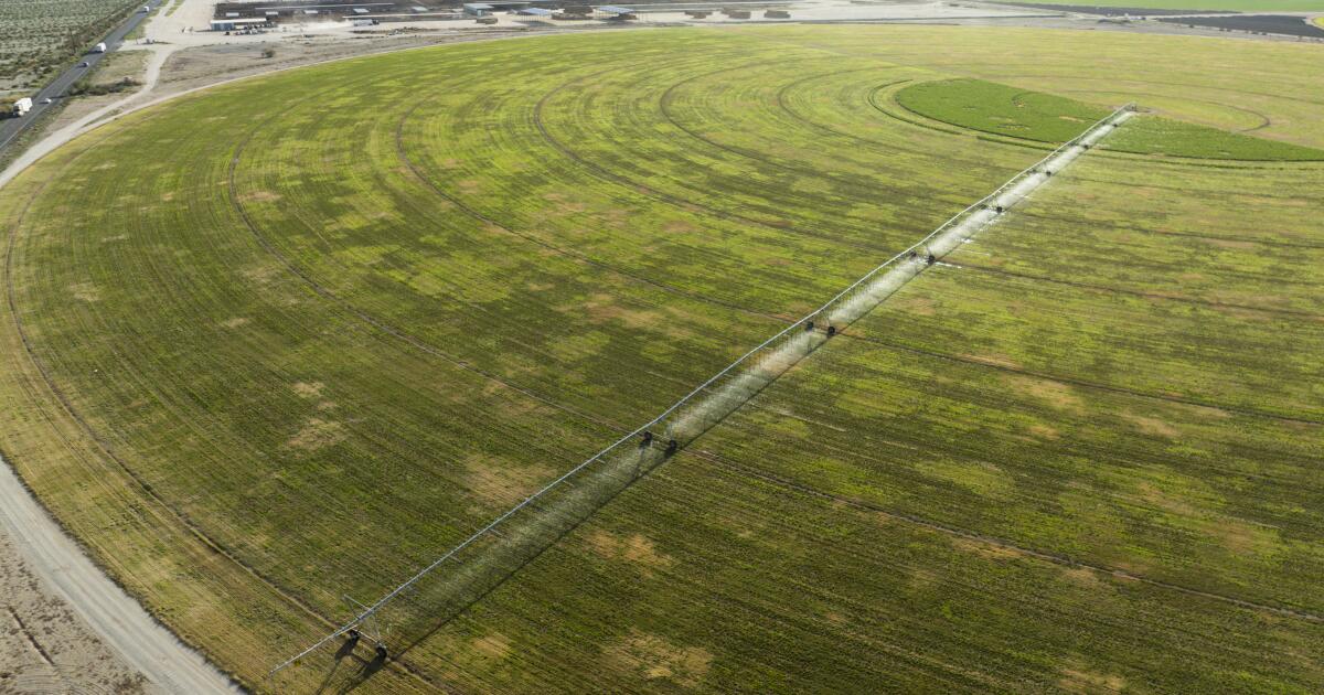 Arizona to limit groundwater pumping in hard-hit area