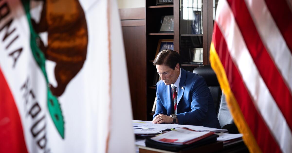 ICE 'wrongfully detained' L.A. County D.A.'s office employee, Hochman says