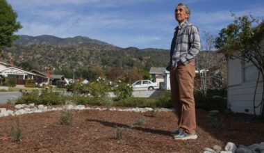 The most important lesson from DIY turf replacement in SoCal