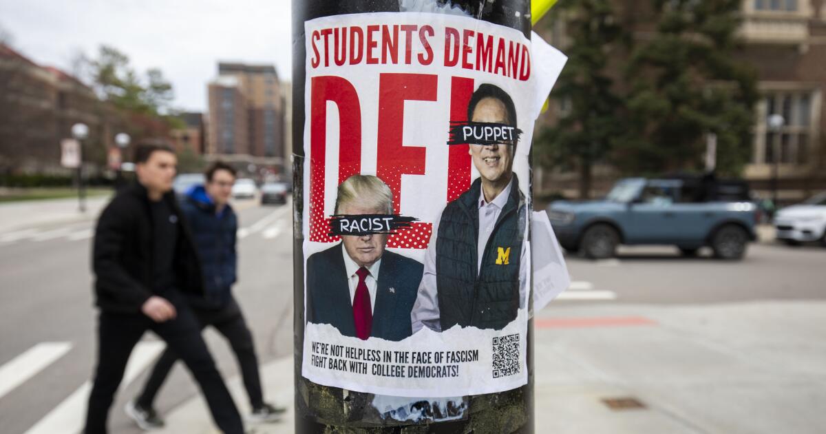 Contributor: DEI is a path to meritocracy, not an alternative