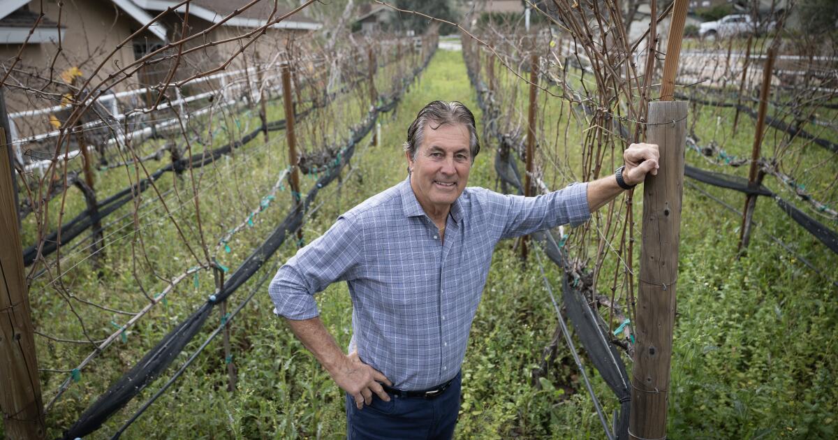 Vince Ferragamo turned Rams football lessons in lifetime achievements