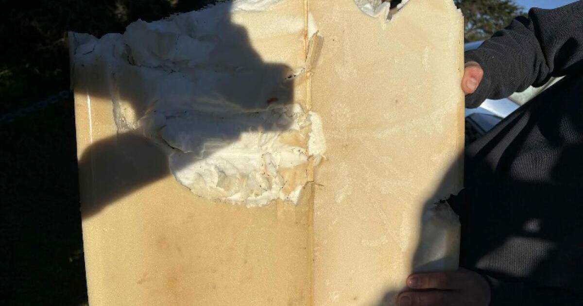 California surfer escapes shark attack that shreds his board and wet suit