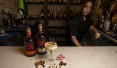 Chicago coquito competition brings out creativity, tradition and cultural fusion