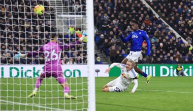 Everton 1-1 Leeds: Barry's late goal takes point for Toffees