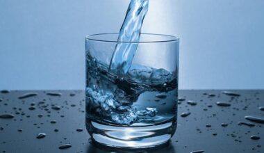 State audit finds New York’s Lead Pipe Replacement Program lacking oversight and effectiveness