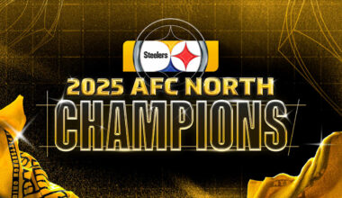 Steelers win the AFC North