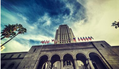 CityWatch LA - Have Los Angeles Elected Officials Lost Their Minds?