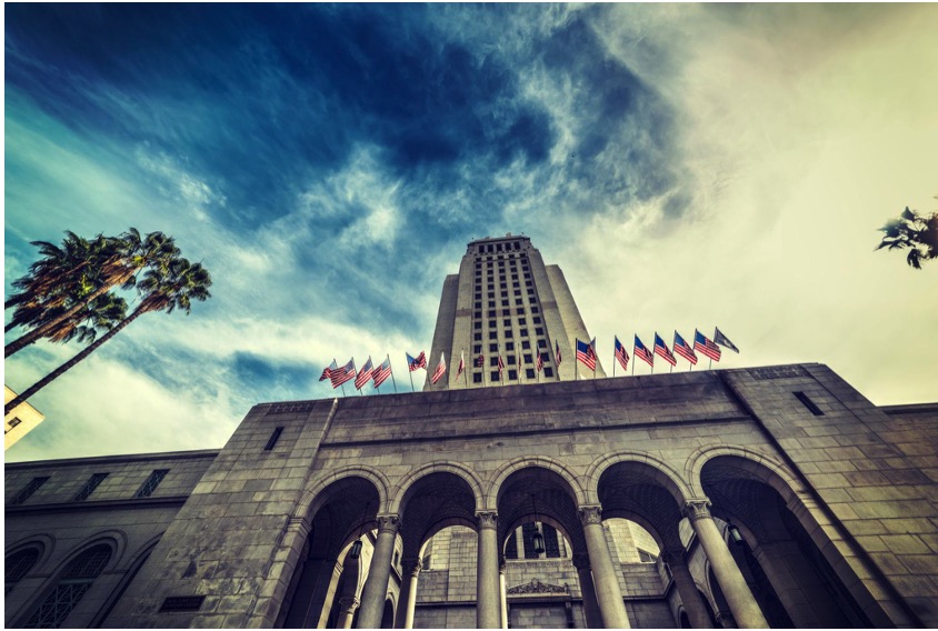 CityWatch LA - Have Los Angeles Elected Officials Lost Their Minds?