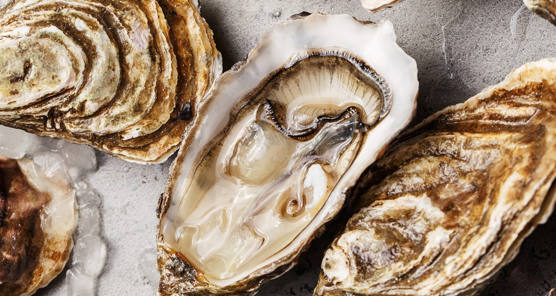 Absinthe & Oysters: A Forbidden Valentine’s