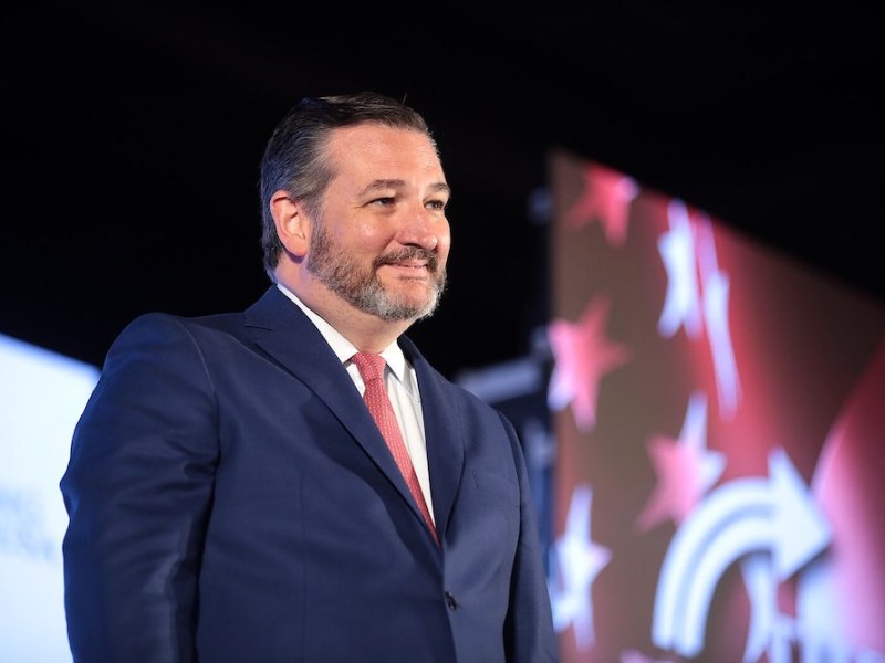 The week’s San Antonio and Texas news — in limericks