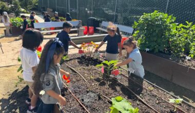 Olivewood Gardens, National School District awarded for partership