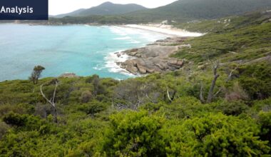 Australia’s best beach ‘in danger of being loved to death’ by overtourism after Lonely Planet listing