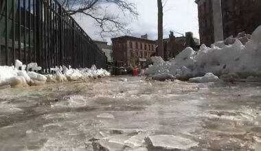 How the Department of Sanitation is helping New Yorkers clear snow borough by borough