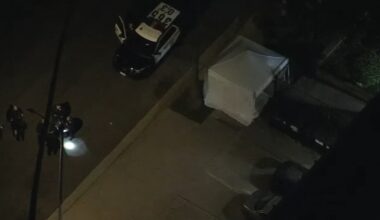 1 man killed, 1 hurt in Jefferson Park shooting, Los Angeles police say