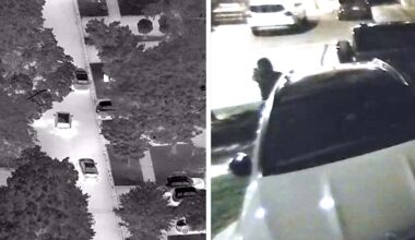 Seven officers arrested in probe