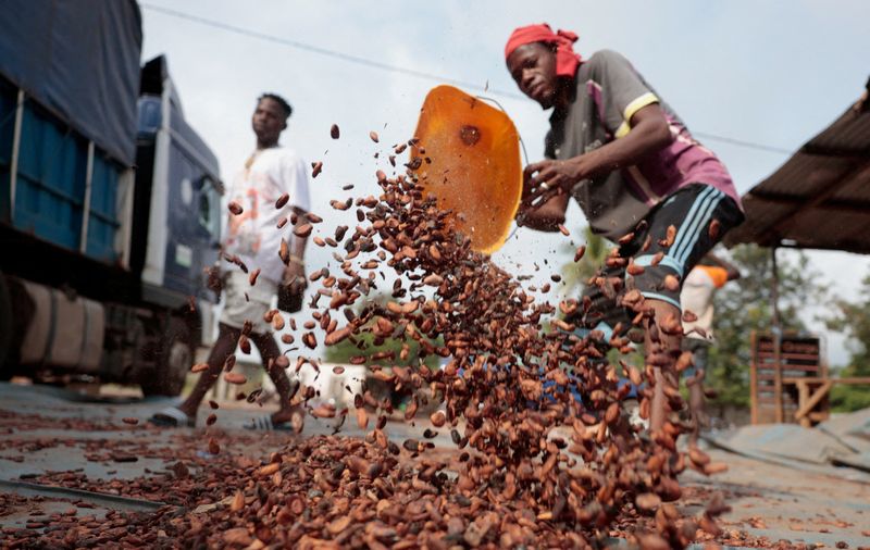 Exclusive-Ivory Coast considers following Ghana with cocoa price cut, sources say