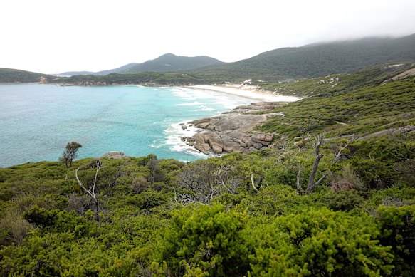 Squeaky Beach, with its sparkling turquoise water and glistening white sand, is one of Australia’s top beaches.