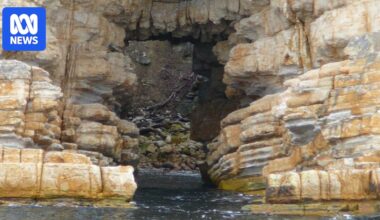 Four teenage boys credited with saving three swept out by rip at Tasmanian beach