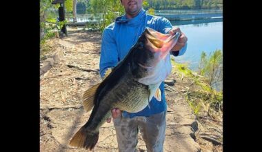 Record bass caught in San Diego