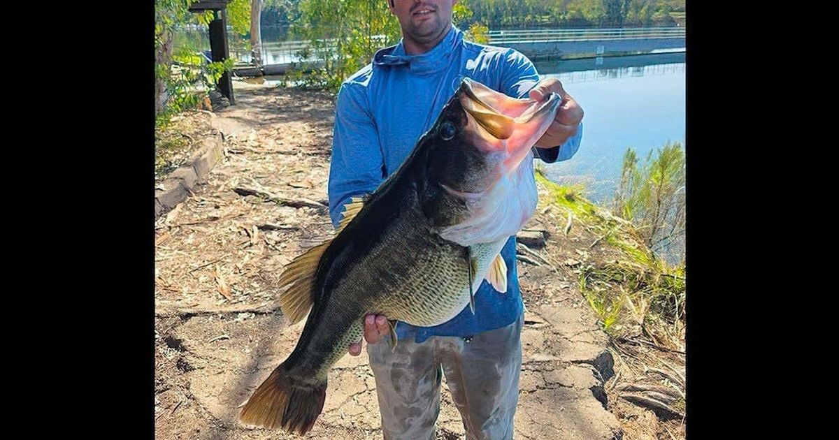 Record bass caught in San Diego