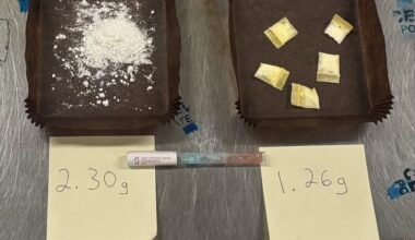 State Police Arrest Philadelphia Man on Felony Charges Following Vehicle Pursuit - Delaware State Police