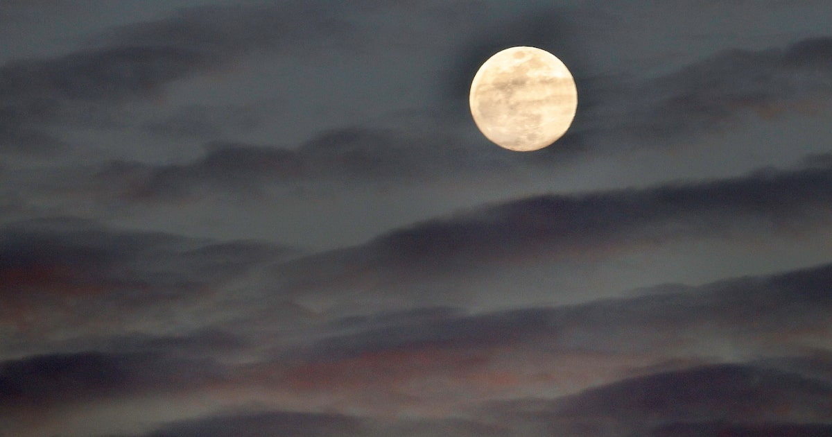 Rain possible Tuesday in North Texas as warm-up continues. See where showers could fall