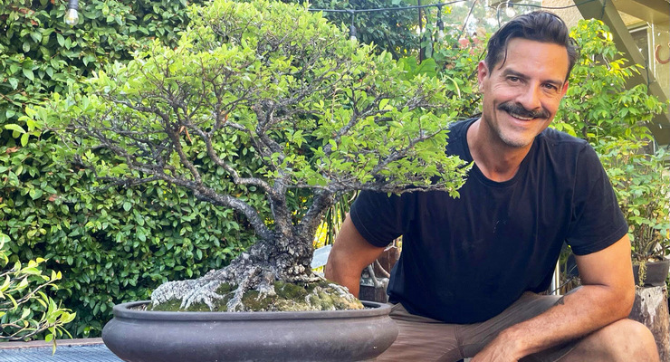 How Ancient Trees Are Teaching Los Angeles to Slow Down – Pasadena Weekendr