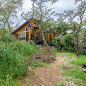 © Silueta Amarilla+SAJAESCA House in the Woods / Espinoza Carvajal Arquitectos - Exterior Photography, Wood