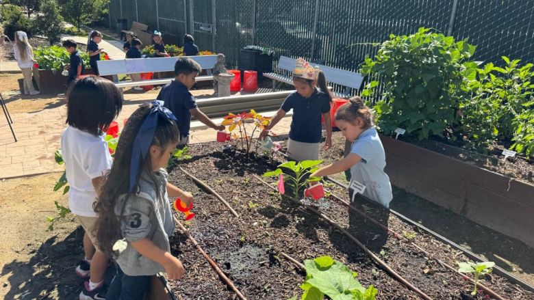 Children in a garden, watering plants with small cans