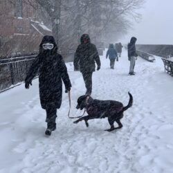 Braving Sunday’s storm on the Brooklyn Heights Promenade. Photo: Mary Frost, Brooklyn Eagle