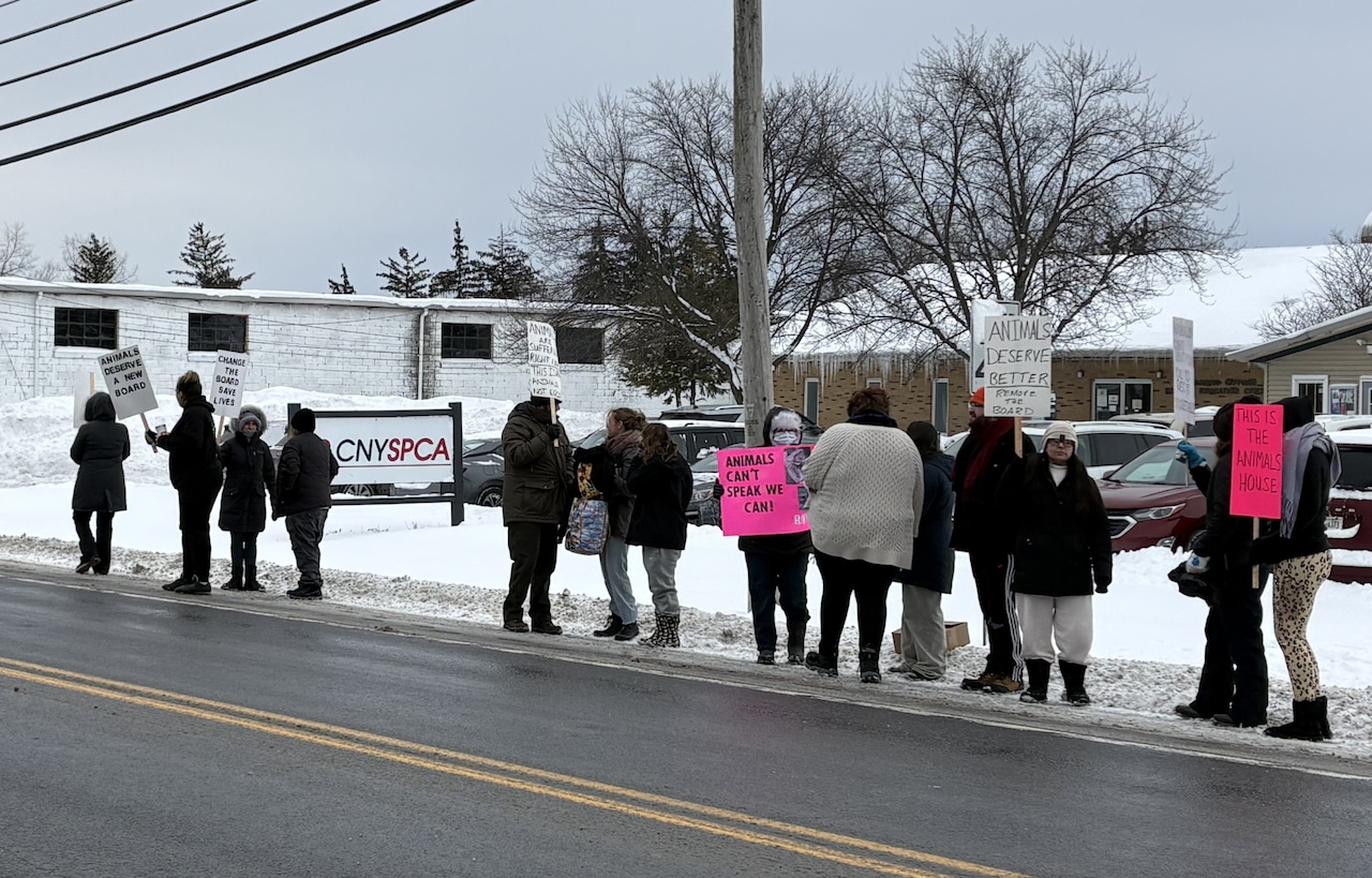 New board takes over Central NY SPCA after staff protest, claims of animal neglect