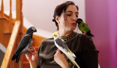 Estate plan for your parrot? It’s not as far-feathered as you might think