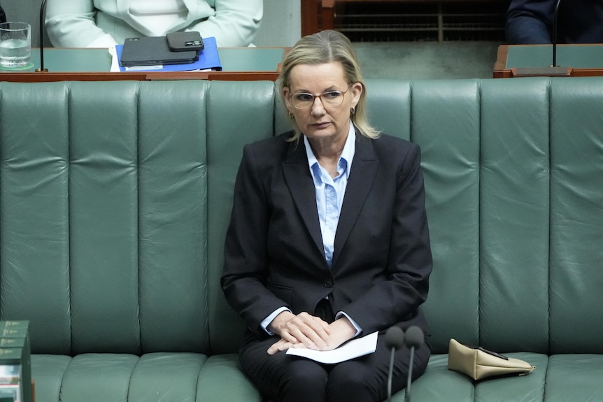 Sussan Ley in House of Representatives.