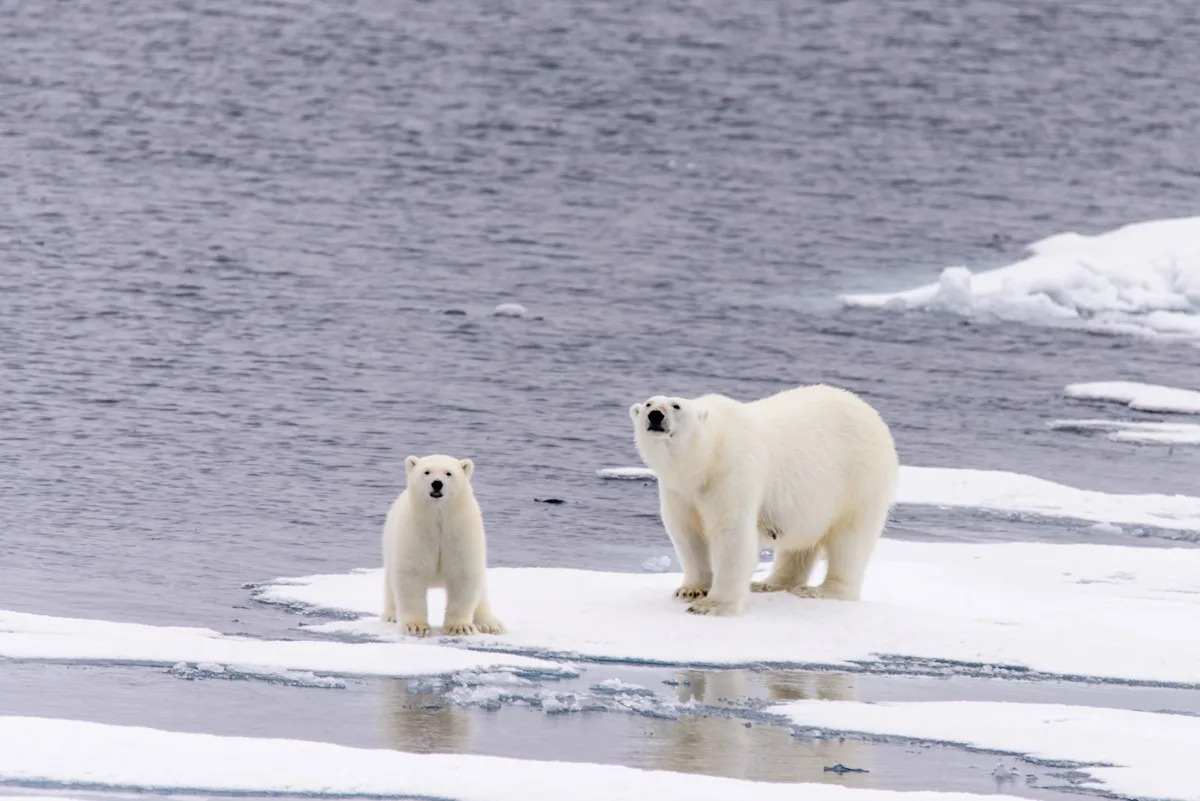 Yahoo news home