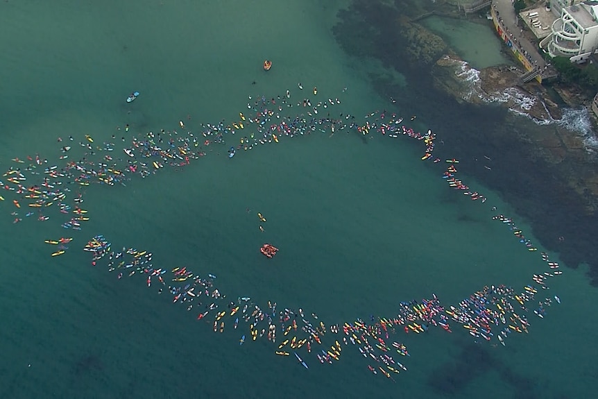 A circle formed in the ocean of people on paddle-boards.