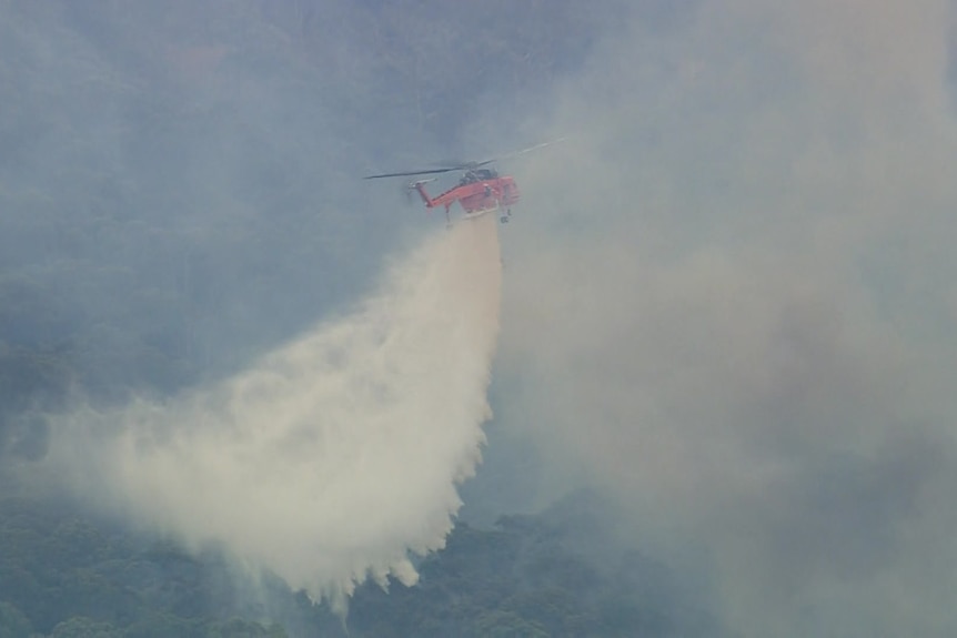 An orange helicopter drops a large amount of water over trees as it flies through thick white smoke.