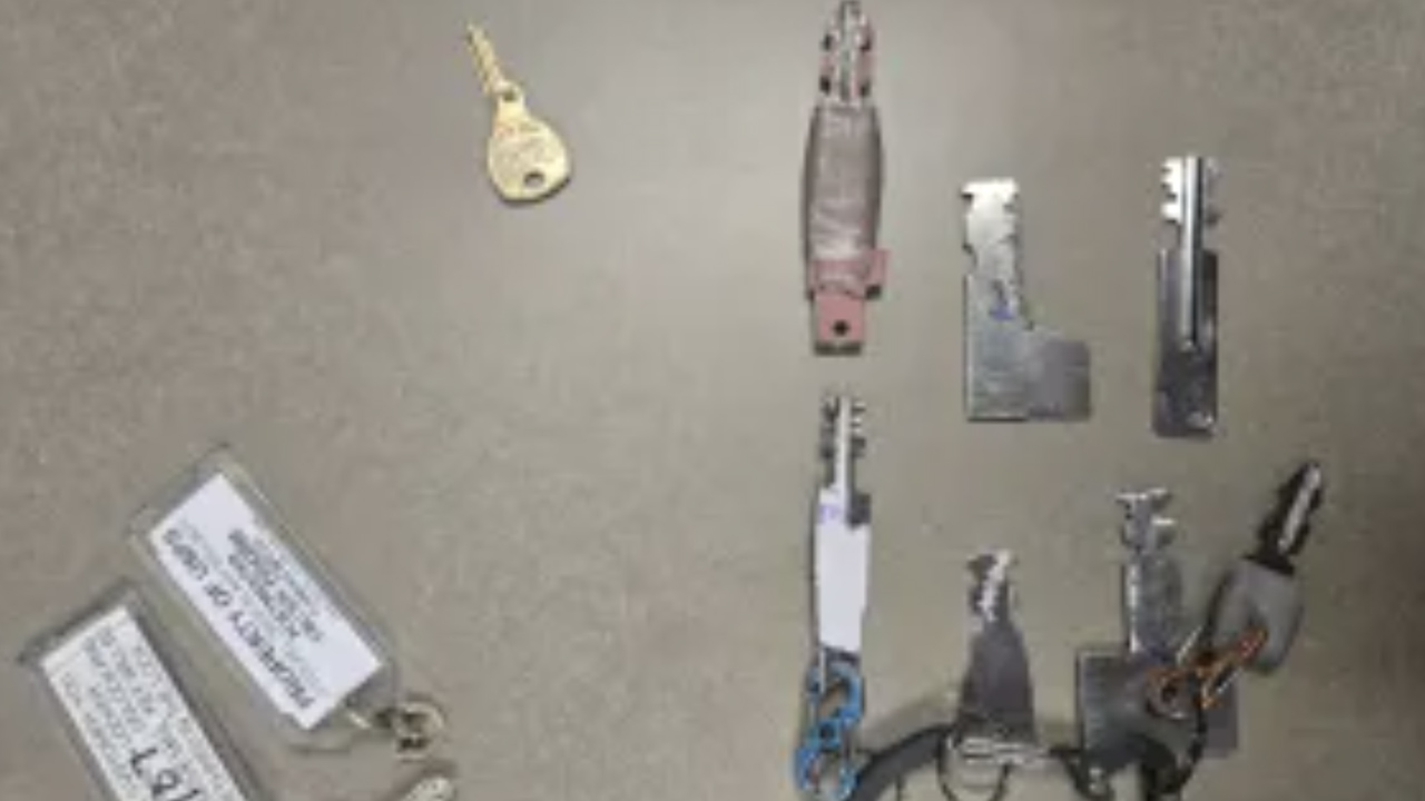 Dallas Police Use License Plate Reader To Bust Stolen Mercedes, Mail Theft Suspect