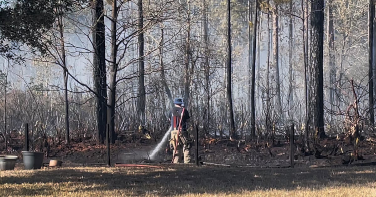 Brush fire contained on Jacksonville’s Westside, Florida Forest Service says – Action News Jax