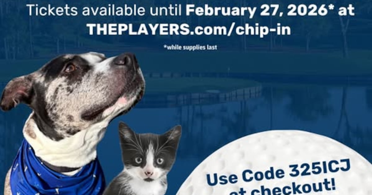 The Players Championship launches Chip in for Charity program to support homeless pets – Action News Jax