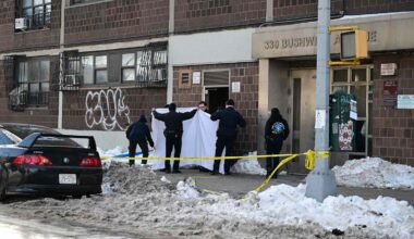 Woman's Body Found Cut Up into Pieces Discovered in Basement of Apartment