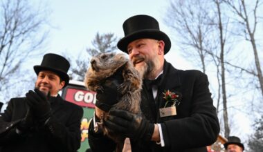 San Diego Groundhog Day: Six more weeks of balmy weather?