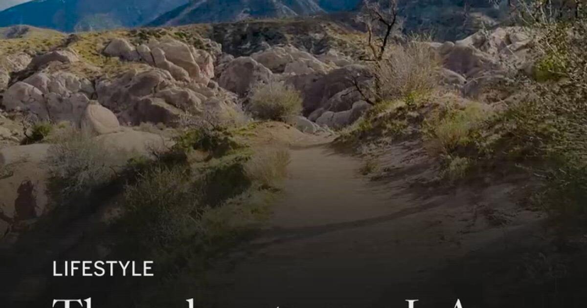 Three deserts near L.A. you can visit before the end of winter