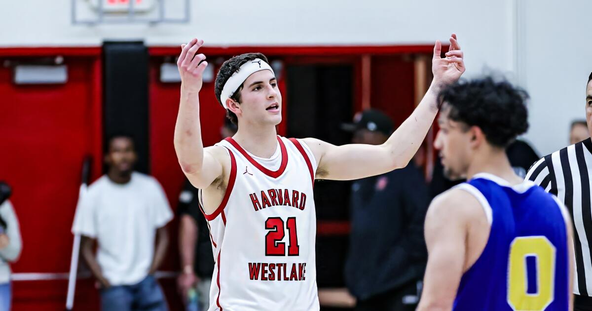 Prep basketball playoffs: Joe Sterling & Co. lead Harvard-Westlake past La Mirada