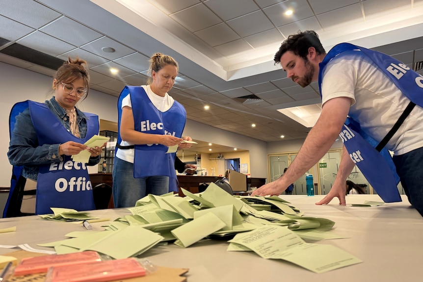 Two women and a man wearing blue vests look through green ballot papers