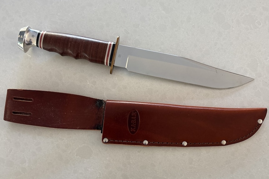 An ornamental knife and sheath.