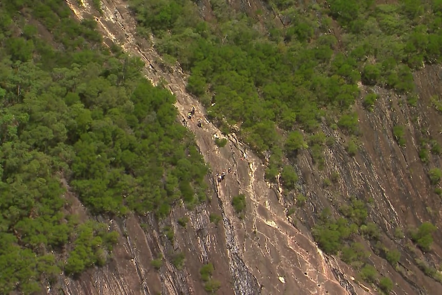 A view from above showing Mount Beerwah.