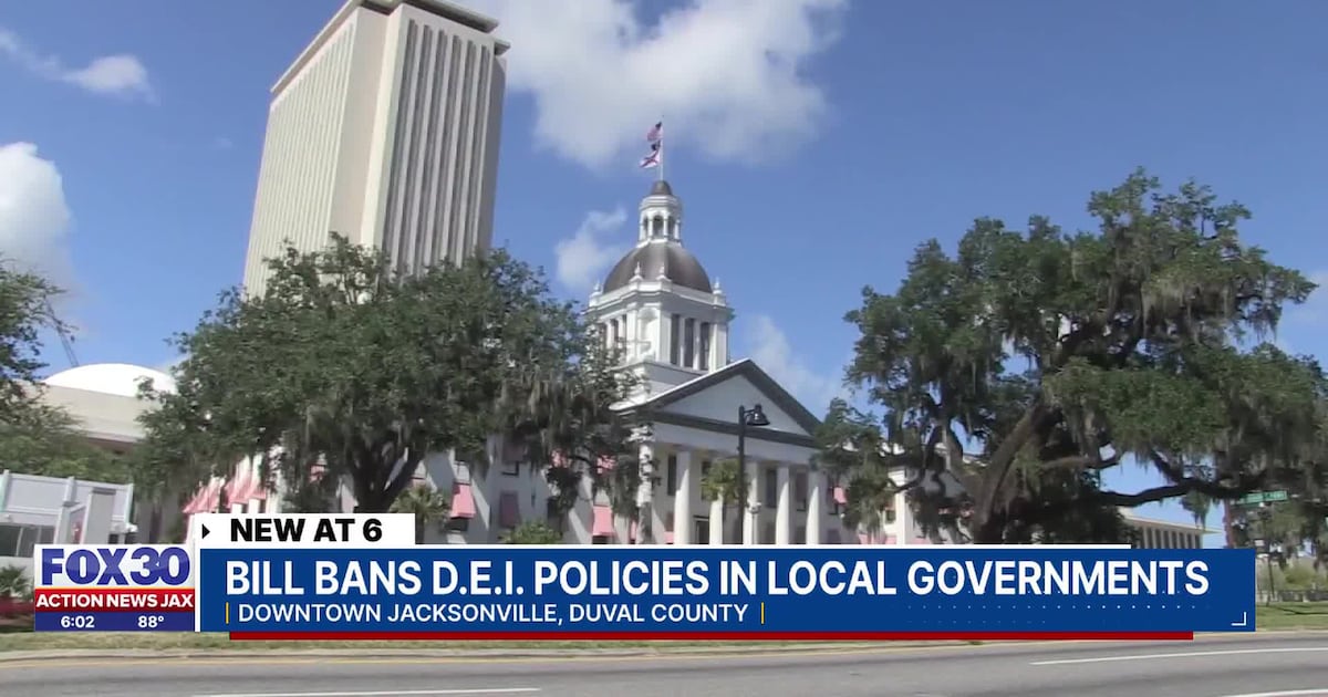 Bill banning DEI in local governments clears the Florida Legislature – Action News Jax