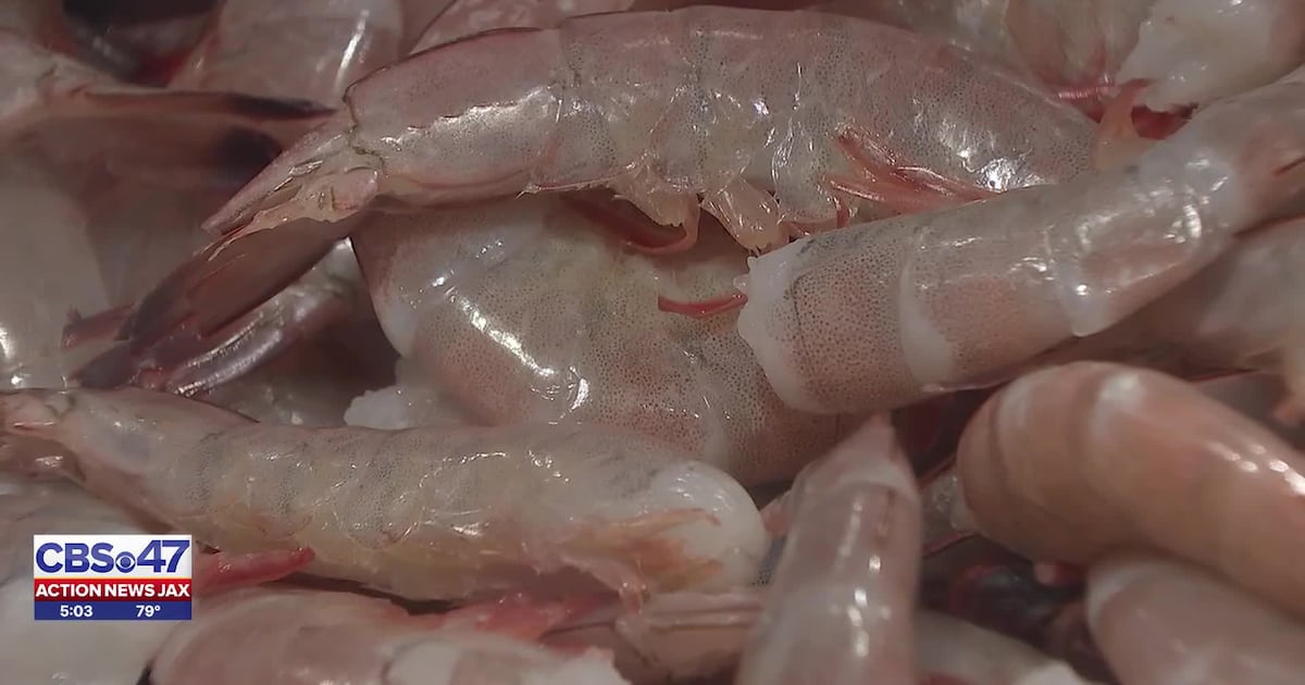 New study finds 57% of Jax restaurants surveyed misrepresented origins of shrimp – 104.5 WOKV